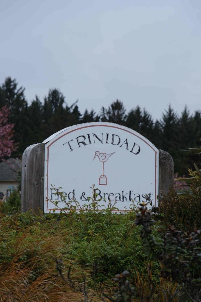 Trinidad Bay Bed And Breakfast Hotel Exteriér fotografie